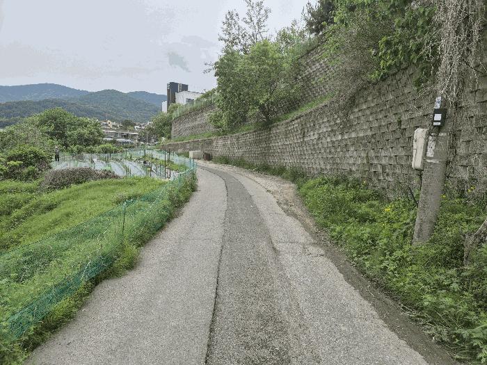충청남도 천안시 동남구 유량동 148 답 경매 사진 6