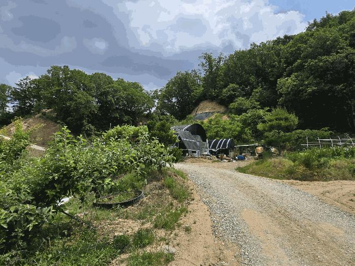 충청남도 천안시 동남구 목천읍 석천리 산49 임야 경매 사진 1