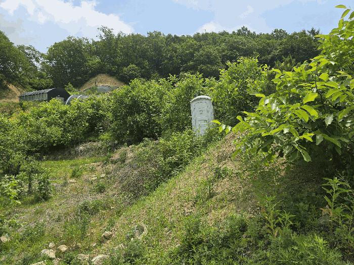 충청남도 천안시 동남구 목천읍 석천리 산49 임야 경매 사진 11