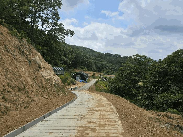 충청남도 천안시 동남구 목천읍 석천리 산49 임야 경매 사진 13