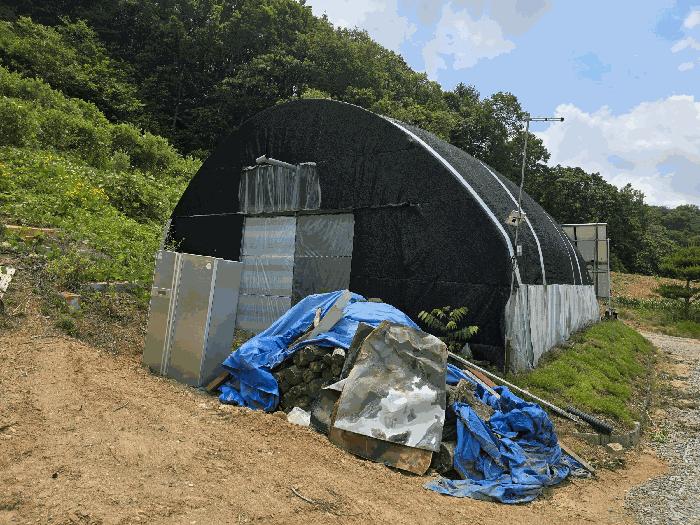 충청남도 천안시 동남구 목천읍 석천리 산49 임야 경매 사진 15