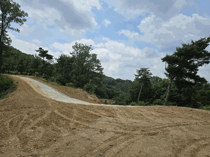 충청남도 천안시 동남구 목천읍 석천리 산49 임야 경매 사진 2