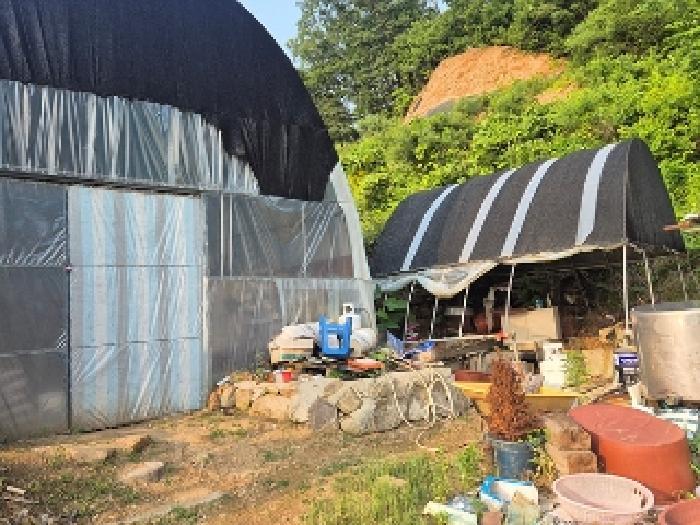 충청남도 천안시 동남구 목천읍 석천리 산49 임야 경매 사진 20