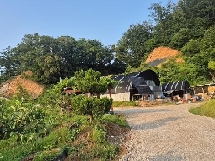 충청남도 천안시 동남구 목천읍 석천리 산49 임야 경매 사진 21