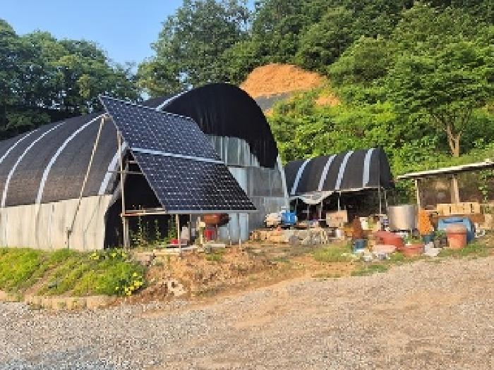 충청남도 천안시 동남구 목천읍 석천리 산49 임야 경매 사진 22