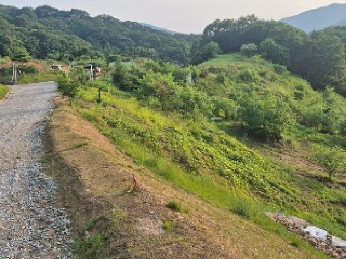 충청남도 천안시 동남구 목천읍 석천리 산49 임야 경매 사진 28