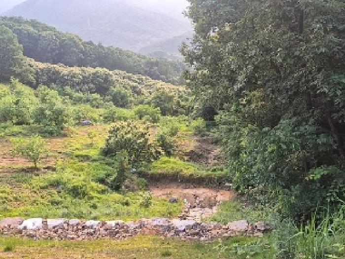 충청남도 천안시 동남구 목천읍 석천리 산49 임야 경매 사진 29