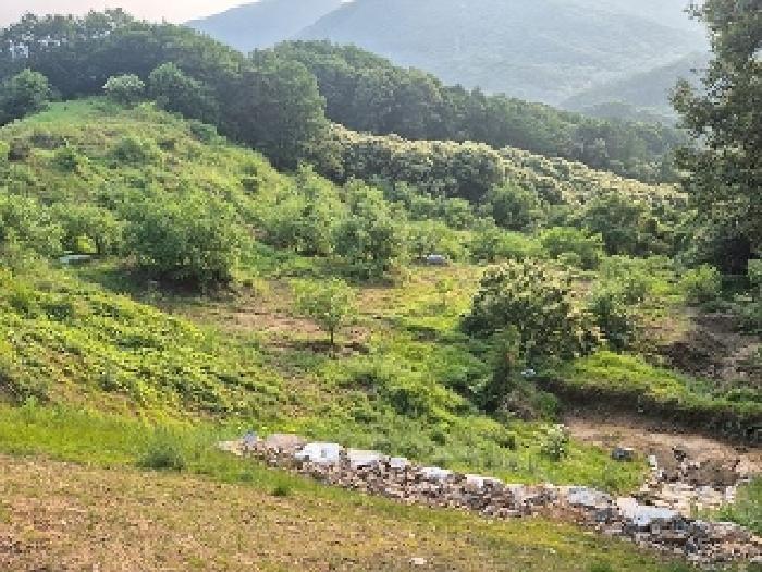 충청남도 천안시 동남구 목천읍 석천리 산49 임야 경매 사진 30