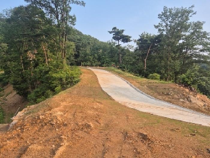 충청남도 천안시 동남구 목천읍 석천리 산49 임야 경매 사진 31
