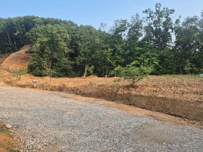 충청남도 천안시 동남구 목천읍 석천리 산49 임야 경매 사진 33