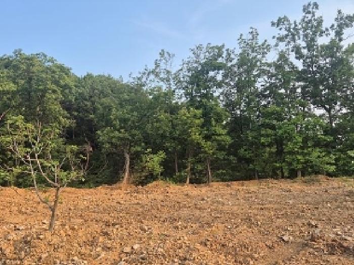 충청남도 천안시 동남구 목천읍 석천리 산49 임야 경매 사진 35