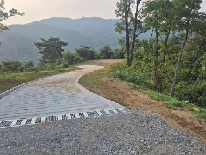 충청남도 천안시 동남구 목천읍 석천리 산49 임야 경매 사진 36