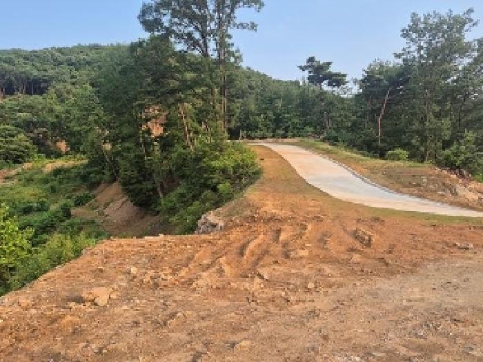 충청남도 천안시 동남구 목천읍 석천리 산49 임야 경매 사진 38