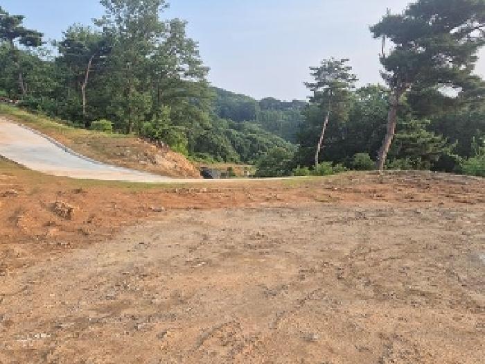 충청남도 천안시 동남구 목천읍 석천리 산49 임야 경매 사진 40