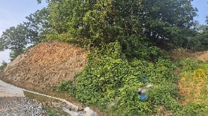 충청남도 천안시 동남구 목천읍 석천리 산49 임야 경매 사진 41