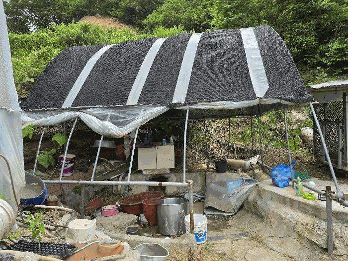 충청남도 천안시 동남구 목천읍 석천리 산49 임야 경매 사진 5