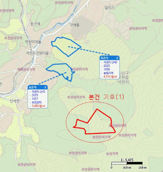 충청남도 천안시 동남구 목천읍 석천리 산49 임야 경매 사진 55
