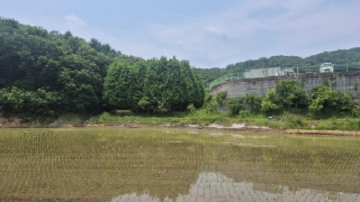 충청남도 천안시 동남구 병천면 매성리 149-2 전 경매 사진 13