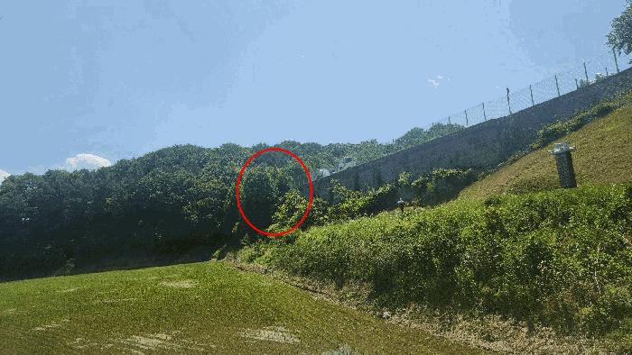 충청남도 천안시 동남구 병천면 매성리 149-2 전 경매 사진 4