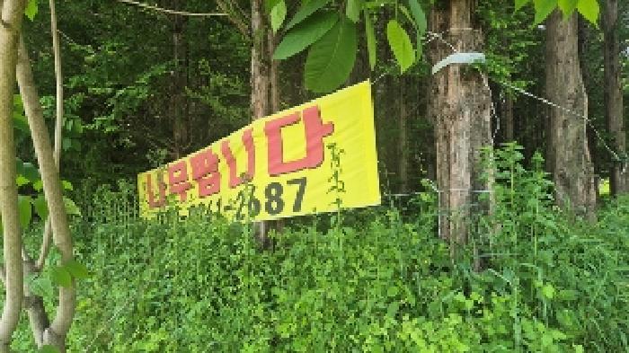 충청남도 천안시 동남구 병천면 매성리 151-3 전 경매 사진 8