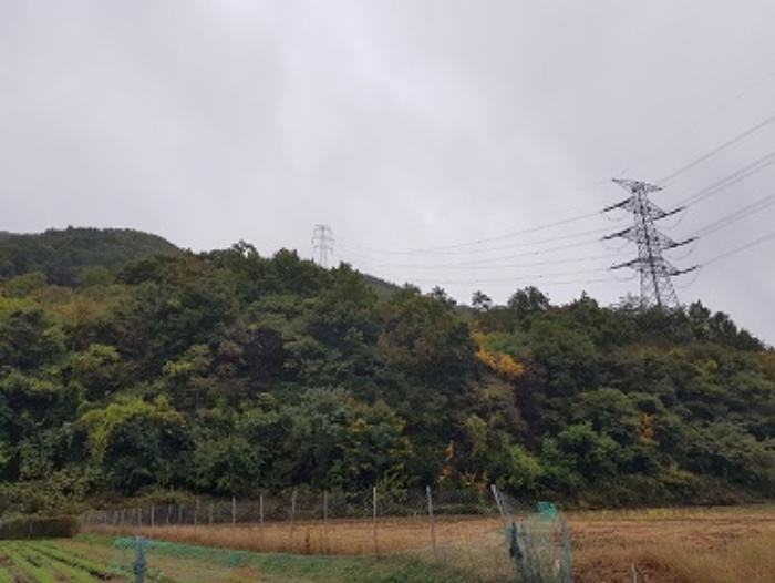 경상북도 청송군 현동면 월매리 산7 임야 경매 사진 10