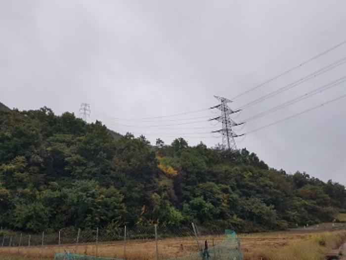 경상북도 청송군 현동면 월매리 산7 임야 경매 사진 11