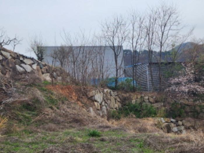 울산광역시 울주군 웅촌면 통천리 786-6 임야 경매 사진 27
