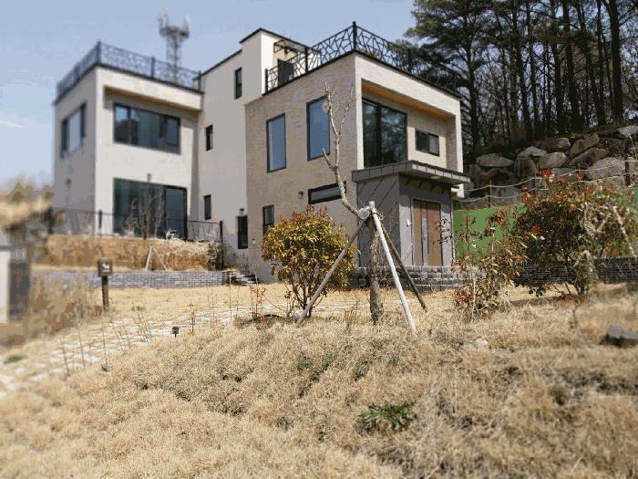 울산광역시 울주군 웅촌면 통천리 786-6 임야 경매 사진 3