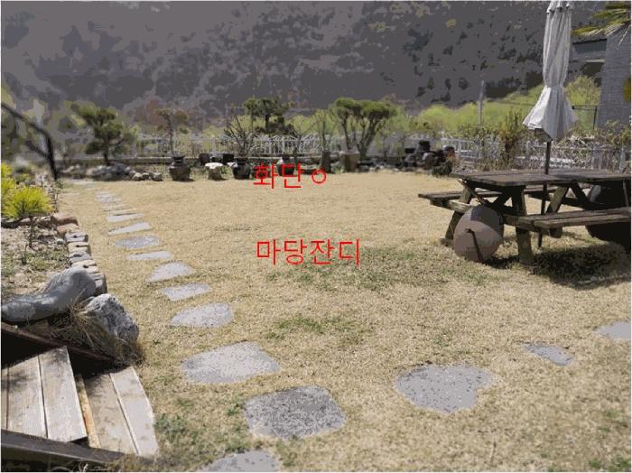 울산광역시 울주군 웅촌면 통천리 786-9 임야 경매 사진 2