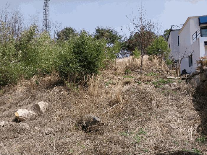 울산광역시 울주군 웅촌면 통천리 790-6 전 경매 사진 9