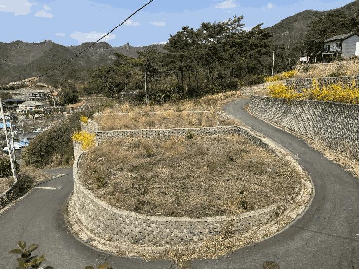전라남도 화순군 도곡면 원화리 167-5 임야 경매 사진 10