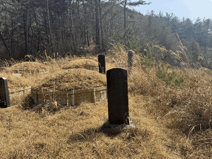 전라남도 화순군 도곡면 원화리 167-5 임야 경매 사진 11
