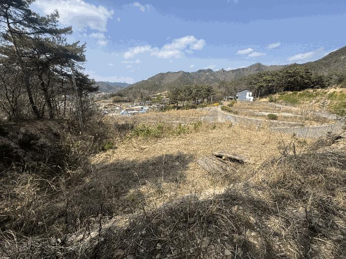 전라남도 화순군 도곡면 원화리 167-5 임야 경매 사진 18