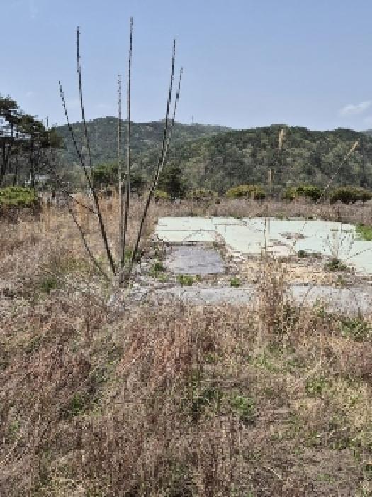 전라남도 화순군 도곡면 원화리 167-5 임야 경매 사진 34