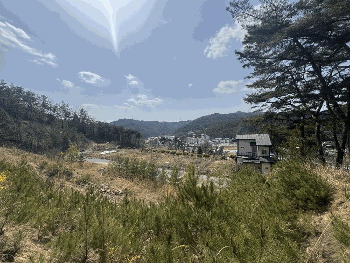 전라남도 화순군 도곡면 원화리 167-5 임야 경매 사진 6