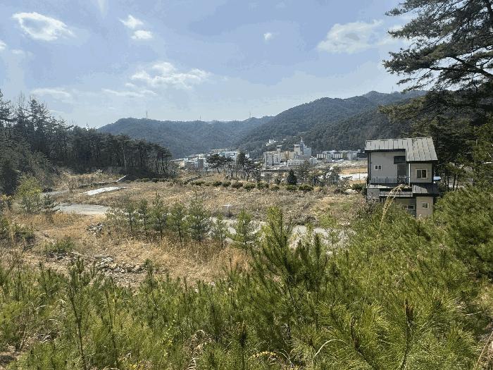 전라남도 화순군 도곡면 원화리 167-23 전 경매 사진 15