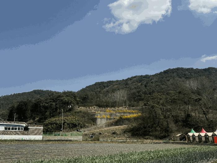 전라남도 화순군 도곡면 원화리 167-23 전 경매 사진 21