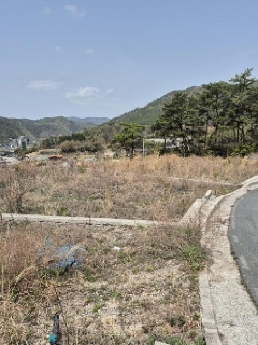 전라남도 화순군 도곡면 원화리 167-23 전 경매 사진 28