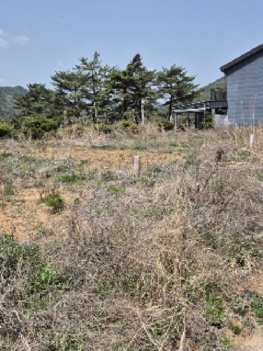 전라남도 화순군 도곡면 원화리 167-23 전 경매 사진 33
