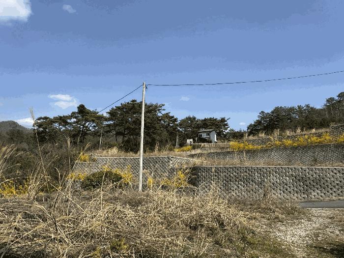 전라남도 화순군 도곡면 원화리 167-23 전 경매 사진 8