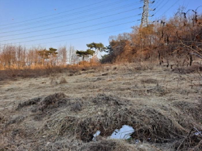 충청남도 당진시 송악읍 가학리 210-6 전 경매 사진 4