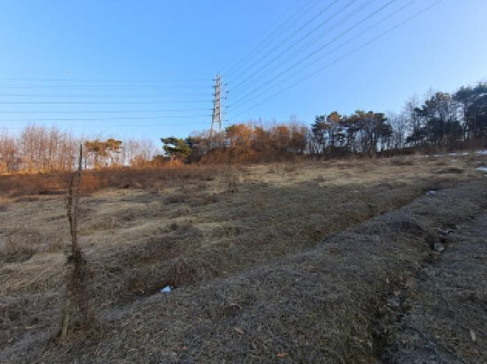 충청남도 당진시 송악읍 가학리 210-6 전 경매 사진 7