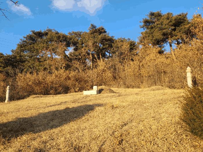 충청남도 서산시 음암면 부산리 520 전 경매 사진 3