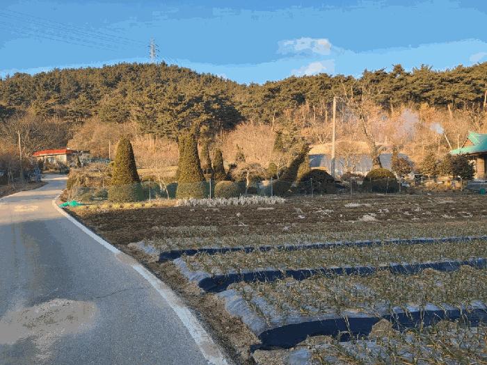 충청남도 서산시 음암면 부산리 520 전 경매 사진 4