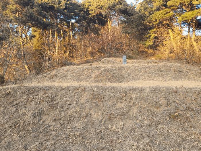 충청남도 서산시 음암면 부산리 520 전 경매 사진 5