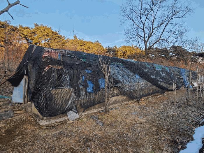 충청남도 서산시 음암면 부산리 520 전 경매 사진 7