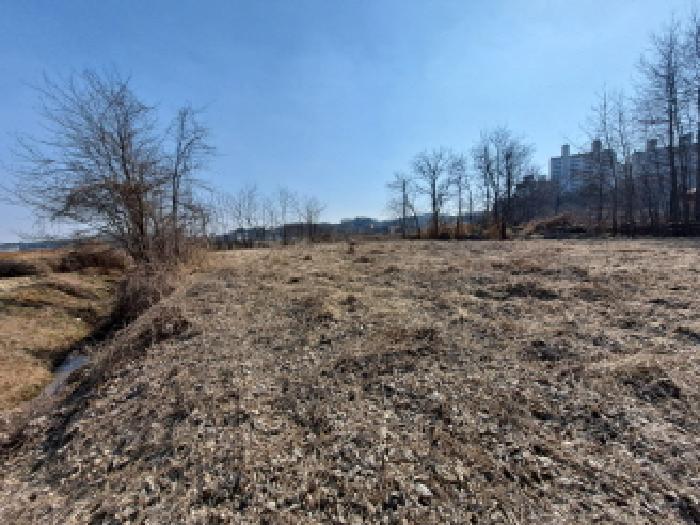충청남도 당진시 송악읍 중흥리 421 답 경매 사진 11