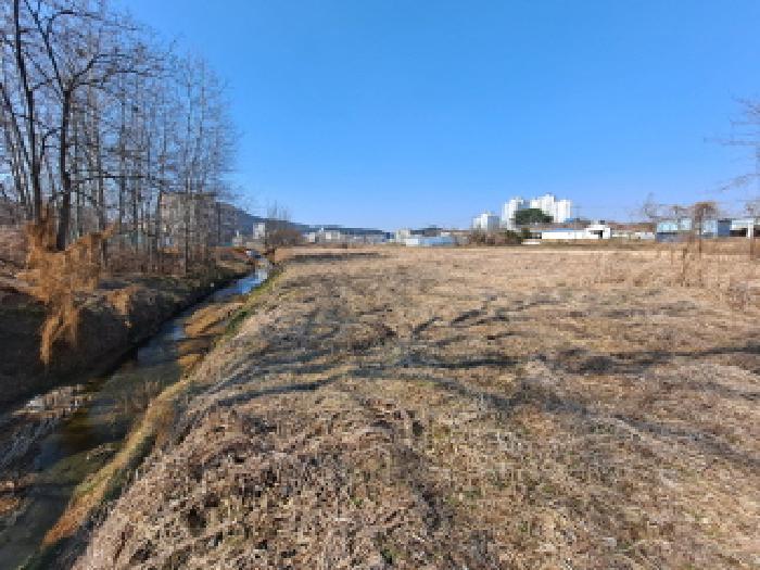 충청남도 당진시 송악읍 중흥리 421 답 경매 사진 12