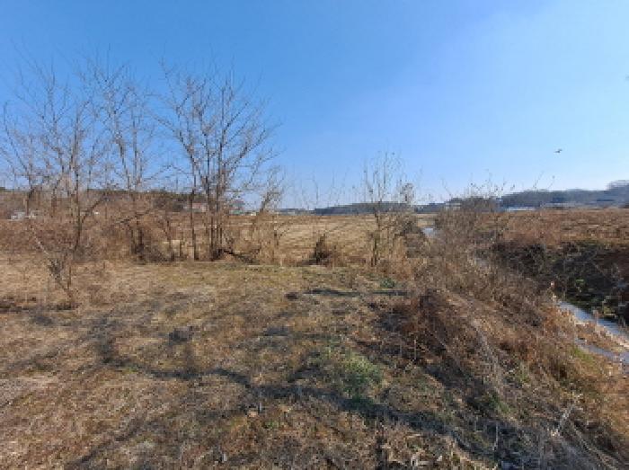 충청남도 당진시 송악읍 중흥리 421 답 경매 사진 13