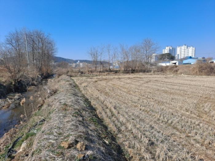 충청남도 당진시 송악읍 중흥리 421 답 경매 사진 16